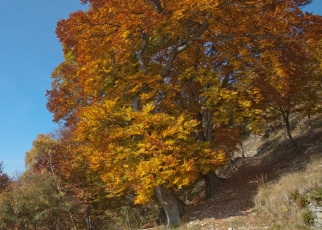 Aufstieg zum Monte Lema, Pian di Runo, in der Herbstsonne